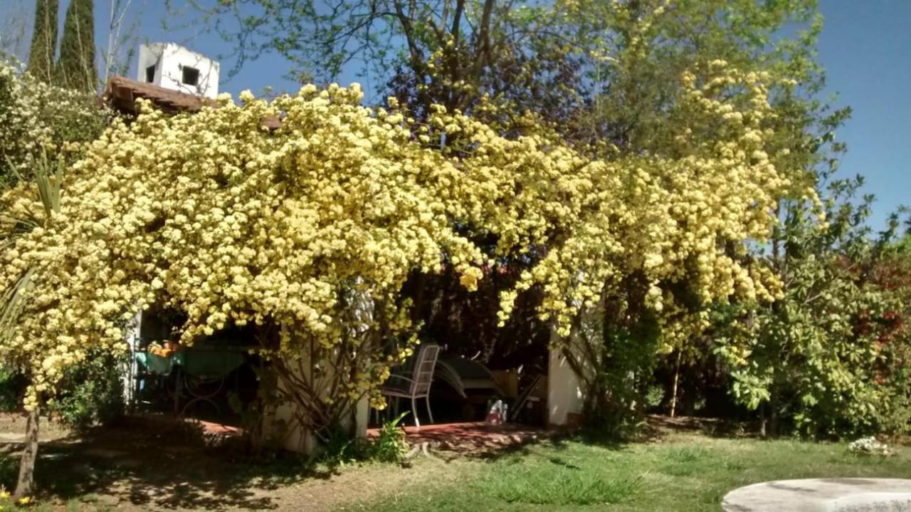 Holiday home Casa En Lujan De Cuyo Con Pileta Vistalba